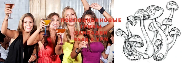 apvp Алексеевка